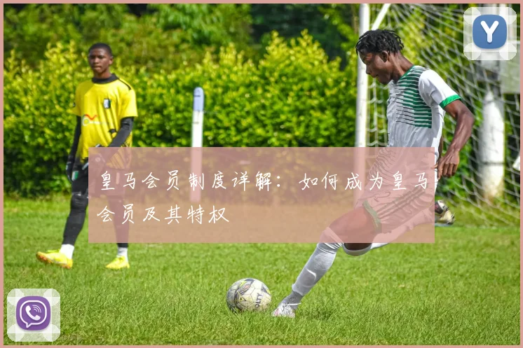 皇马会员制度详解：如何成为皇马会员及其特权