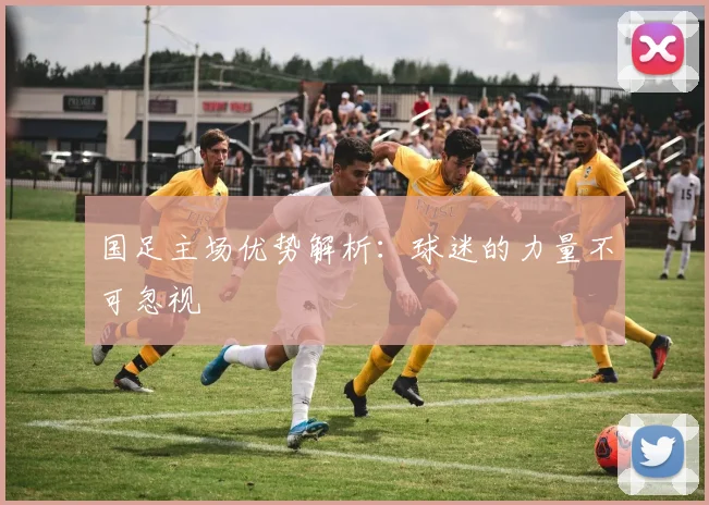 国足主场优势解析：球迷的力量不可忽视